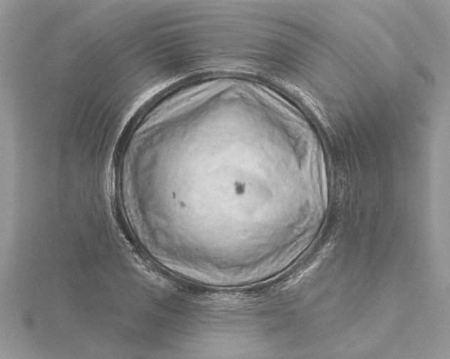 X0000115731125200912031400