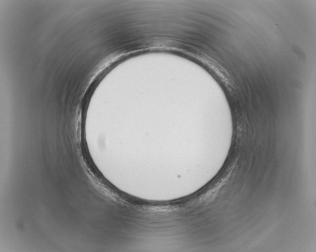 X0000115731126200912031400