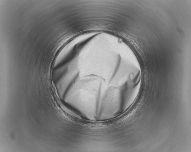 X0000115731129200912031400