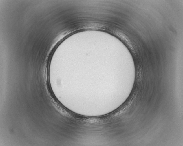 X0000115731130200912031400