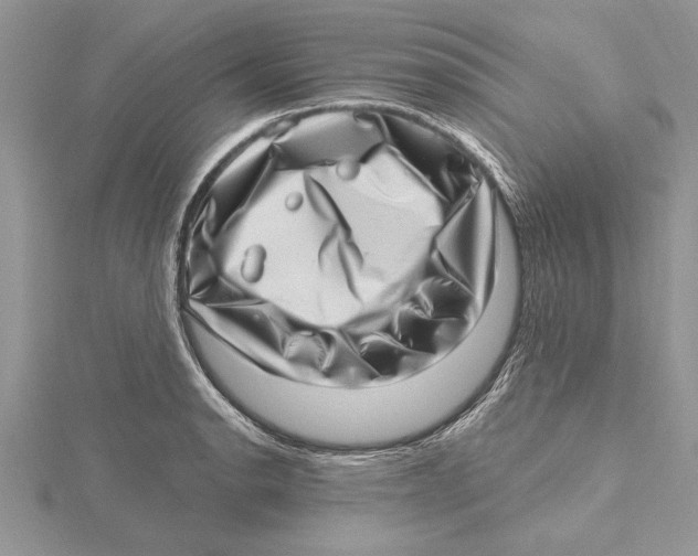 X0000115731134200912031400