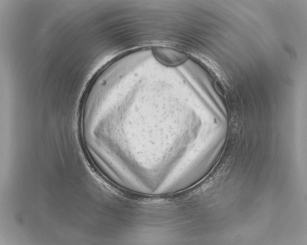 X0000115731135200912031400