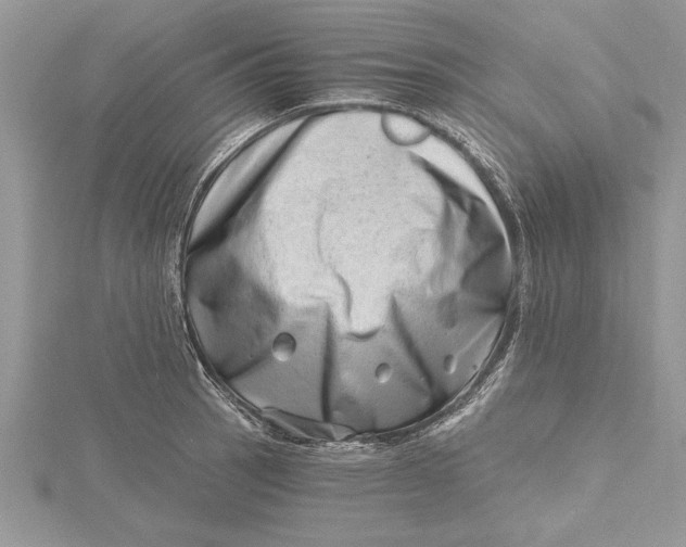 X0000115731137200912031400