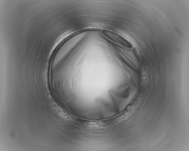 X0000115731138200912031400