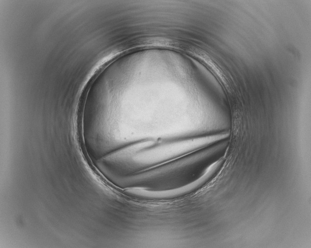 X0000115731139200912031400