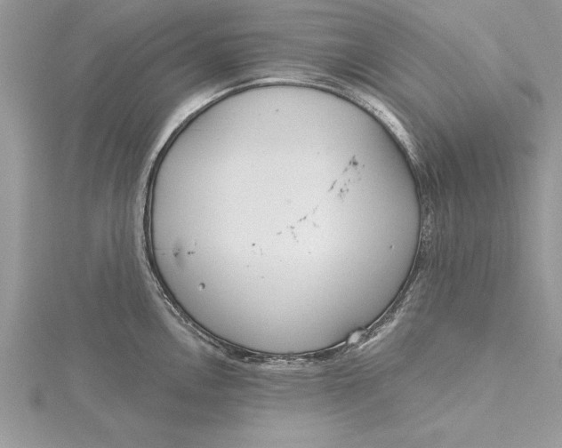 X0000115731146200912031401