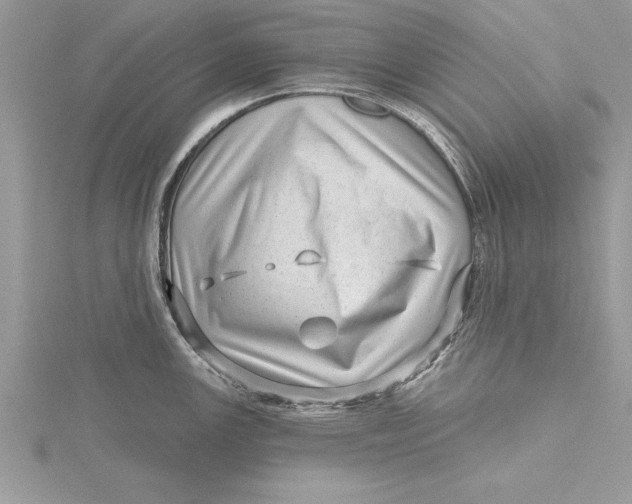 X0000115731147200912031401