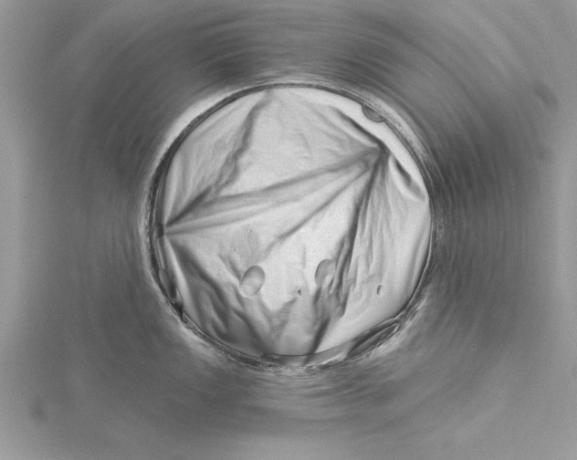 X0000115731149200912031401