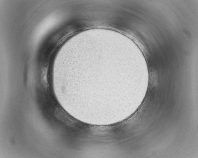 X0000115731150200912031401