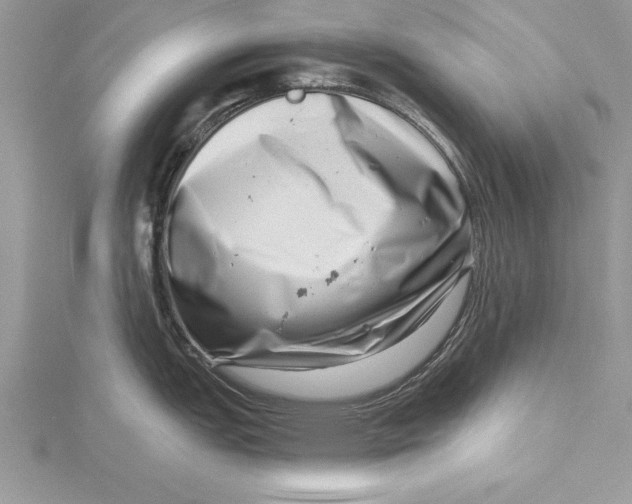 X0000115731151200912031401