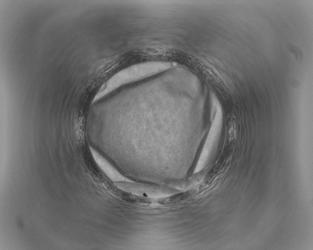 X0000115731156200912031400