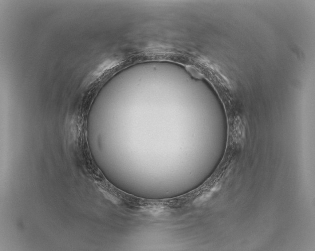 X0000115731157200912031400