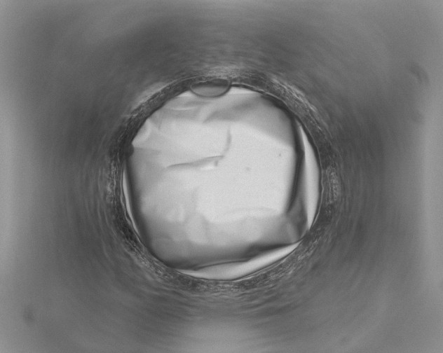 X0000115731158200912031400