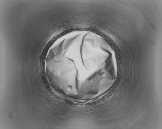 X0000115731160200912031400