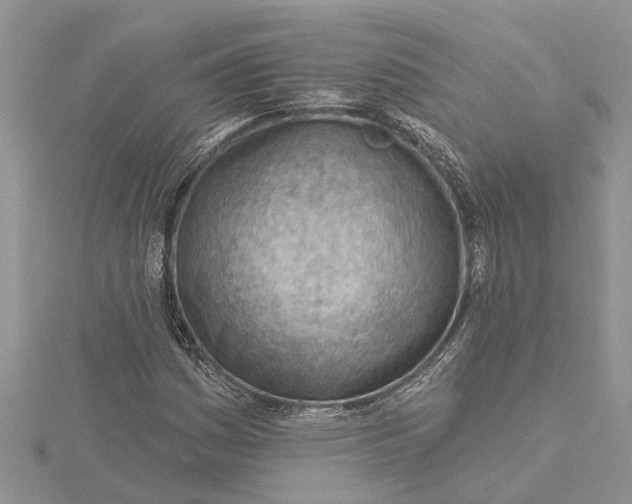 X0000115731161200912031400