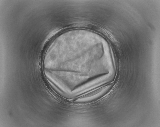 X0000115731164200912031400