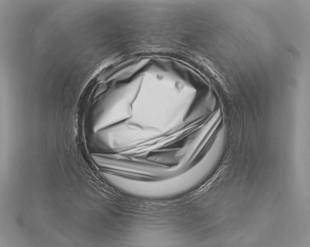 X0000115731165200912031400