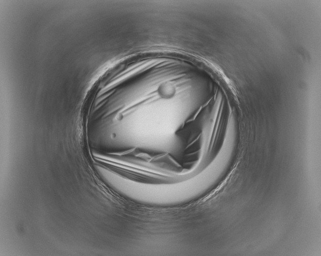 X0000115731167200912031400