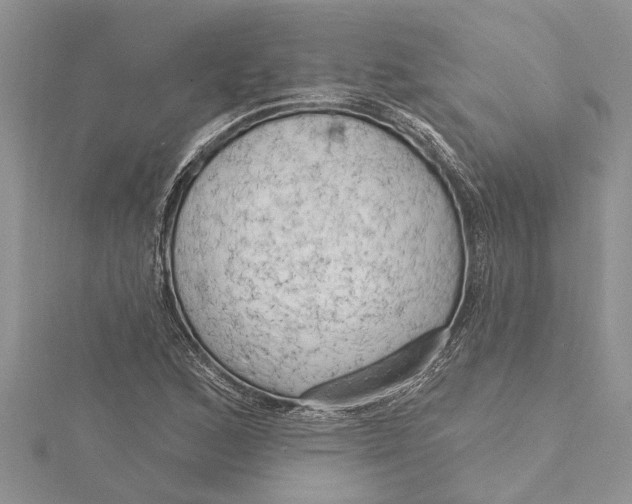 X0000115731168200912031400