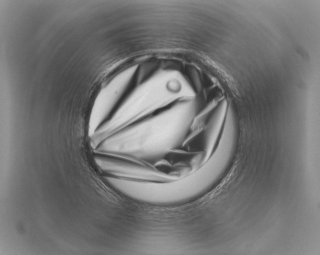 X0000115731169200912031400