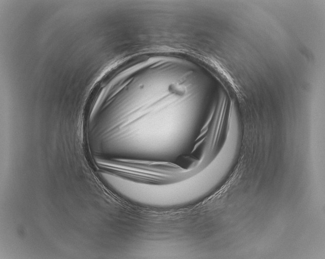 X0000115731173200912031400