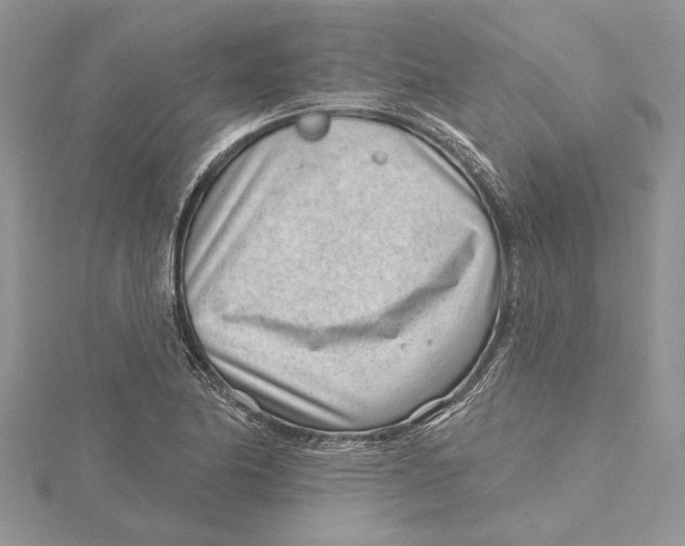 X0000115731174200912031400