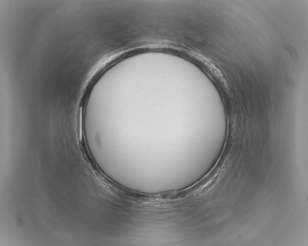 X0000115731175200912031400