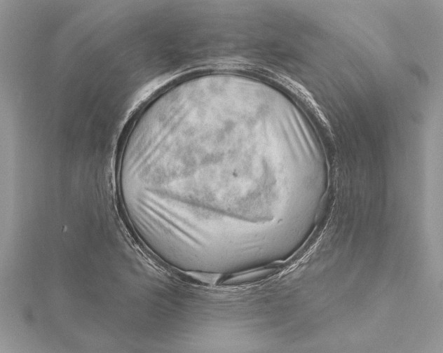 X0000115731176200912031400