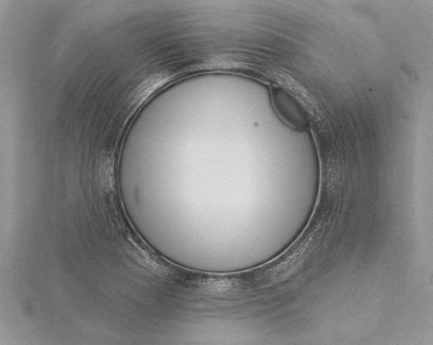 X0000115731177200912031400