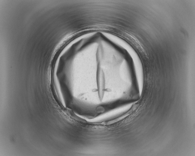 X0000115731180200912031400