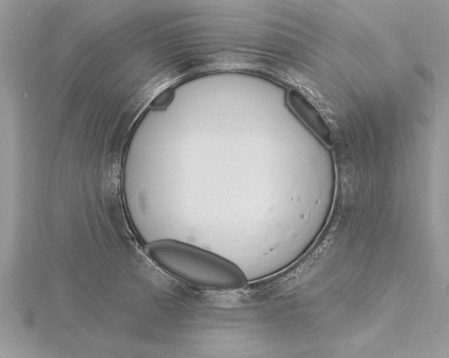 X0000115731185200912031359