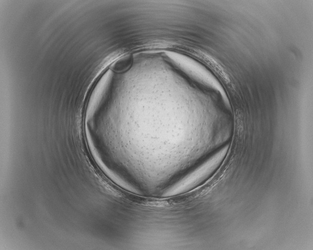 X0000115731186200912031359