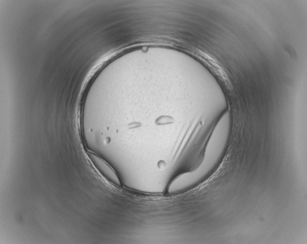 X0000115731188200912031359