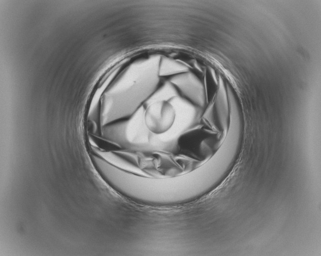 X0000115731189200912031359