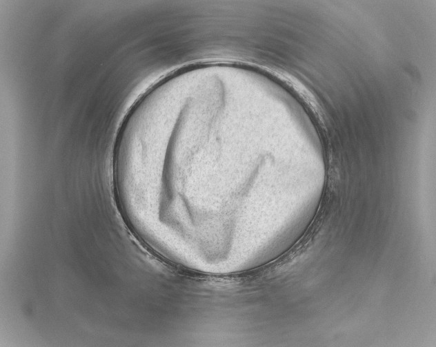 X0000115731191200912031359