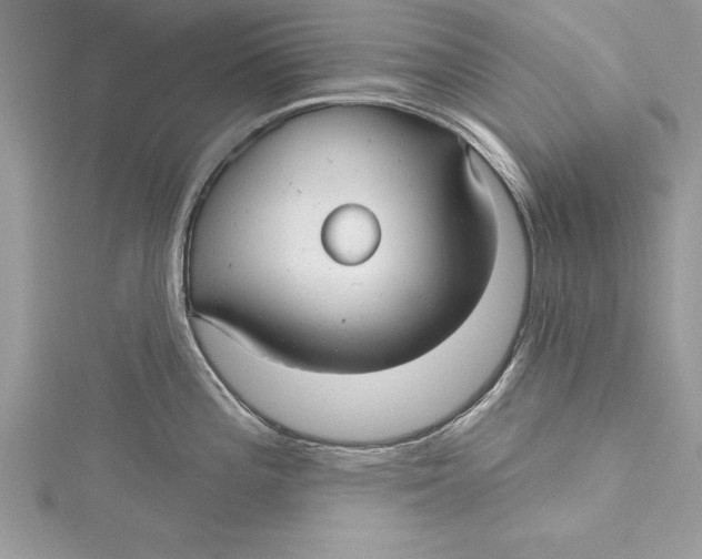 X0000115731196200912031359