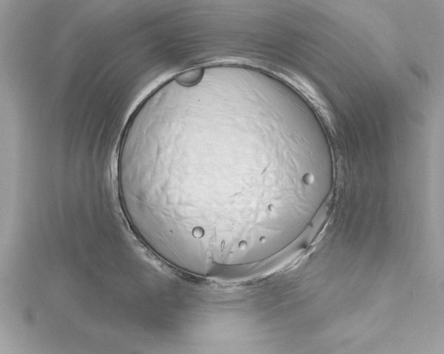 X0000115731198200912031359