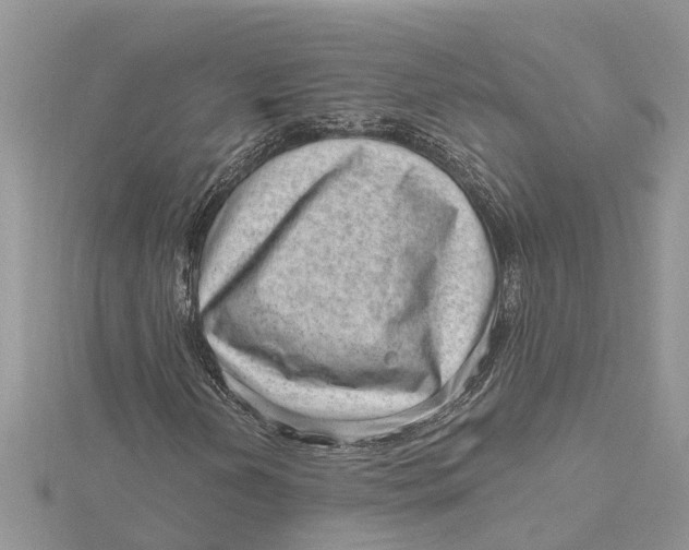 X0000115731202200912031359