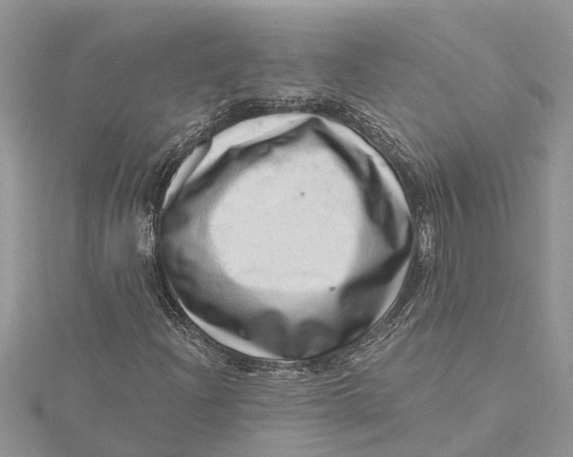 X0000115731204200912031359