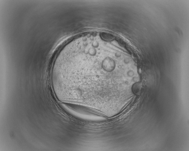 X0000115731215200912031359