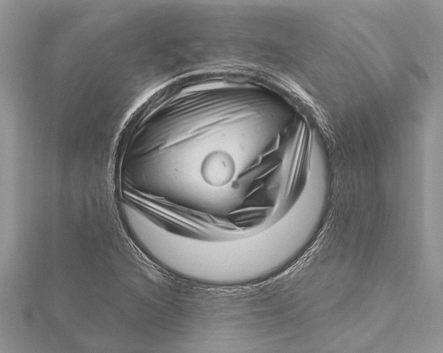 X0000115731216200912031359