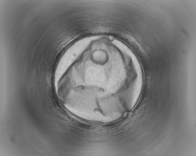 X0000115731217200912031359