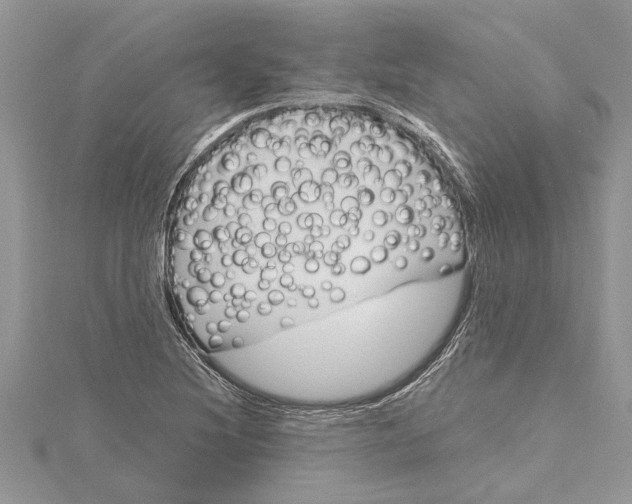 X0000115731220200912031359