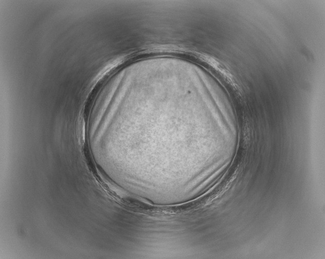 X0000115731221200912031359