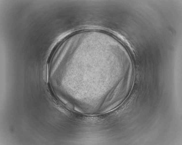 X0000115731223200912031359