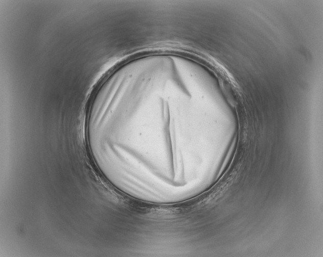 X0000115731224200912031359