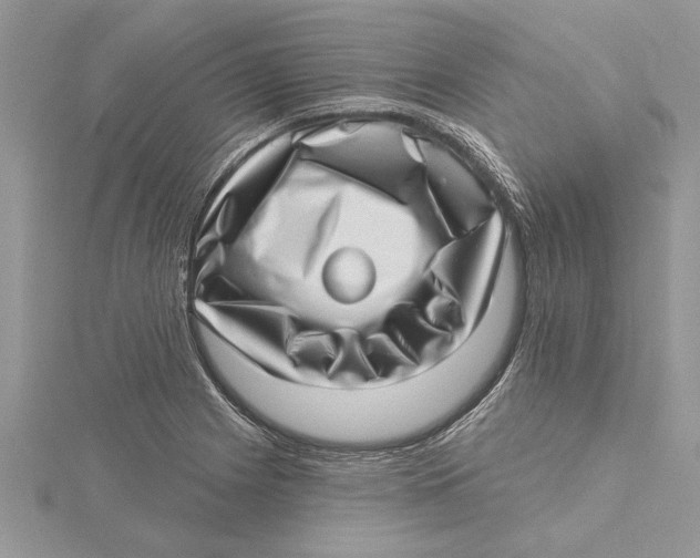 X0000115731225200912031359