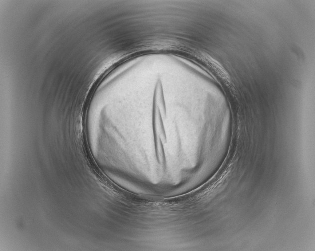 X0000115731226200912031359