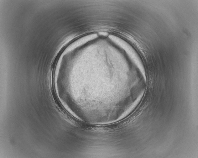 X0000115731227200912031359