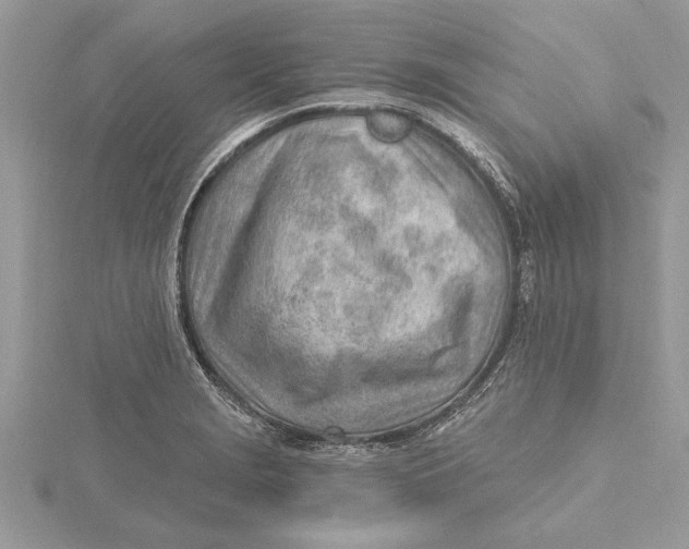 X0000115731229200912031359